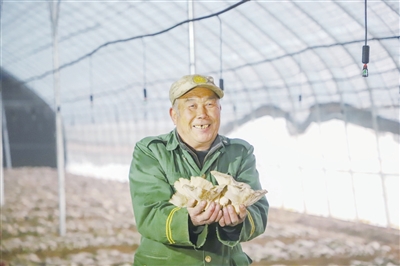 帶來鄉村振興新“蘑”力